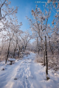 雪 雪景 白雪 仰天山风光 冬