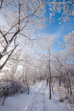 雪 雪景 白雪 仰天山风光 冬