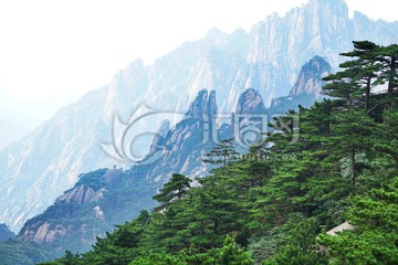 泰山山景