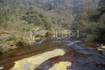 自然风光 小河溪流 清澈山溪水