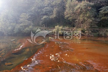 自然风光 小河溪流 清澈山溪水