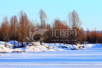 雪野树林