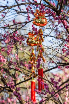 红梅树上的福字中国结