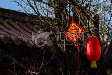 古建筑屋檐老树中国结