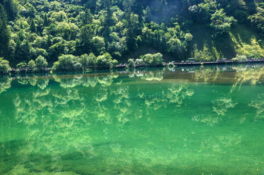 九寨沟森林湿地湖泊