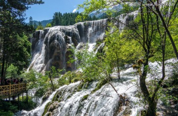 九寨沟高山森林小溪瀑布流水