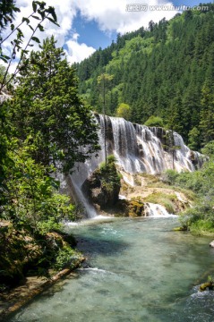九寨溝高山森林小溪瀑布流水