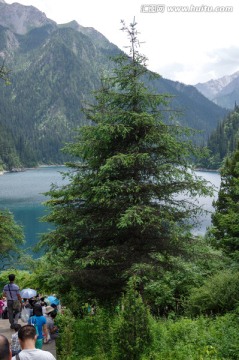 九寨沟高山湖泊森林树木