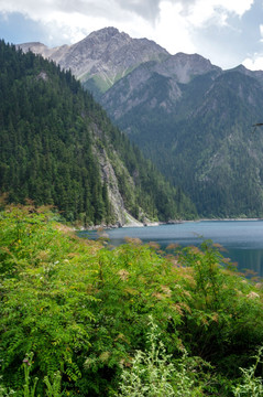 高山湖泊天池