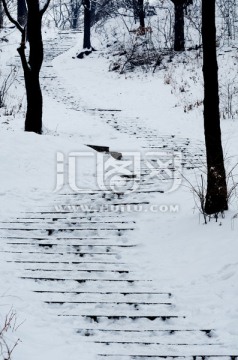 树林雪地小路