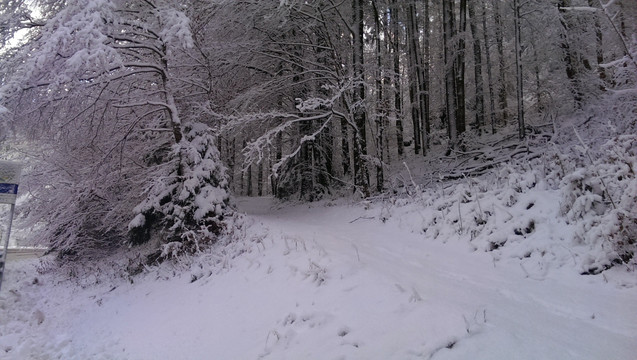 积雪  落雪