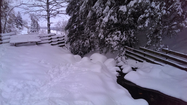 积雪  白雪