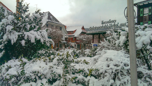 雪村  雪景