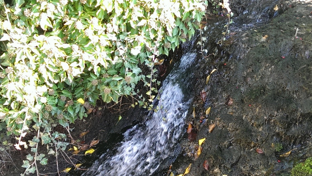 山泉水   山涧流水