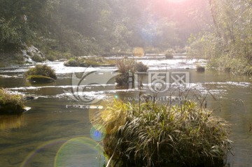 山谷小溪 清澈山溪水