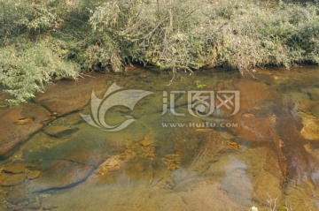 自然风光 小河溪流 清澈山溪水