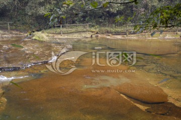 自然风光 小河溪流 清澈山溪水