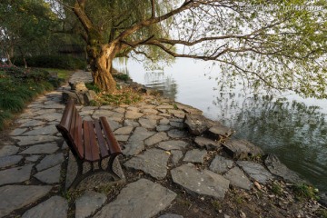 湖边大树 长椅 休闲