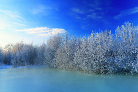 冰河雾凇雪景