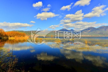 青山绿水 拉市海 倒影