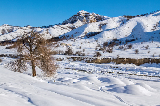 福寿山冬景 雪山 庙沟