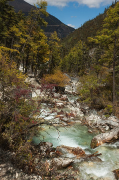 亚丁森林冰川河谷