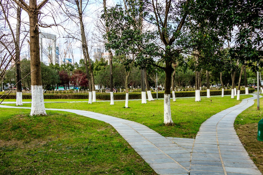 公园小路 季节风景 树木凋零