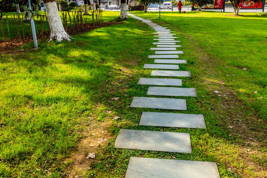 公园小路 季节风景 树木凋零