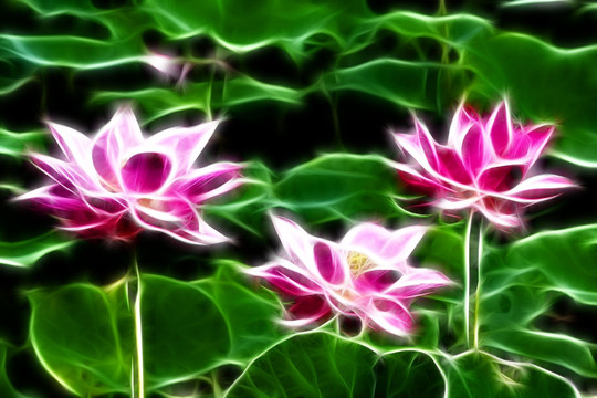 荷花抽象畫(huà) 無(wú)框畫(huà)