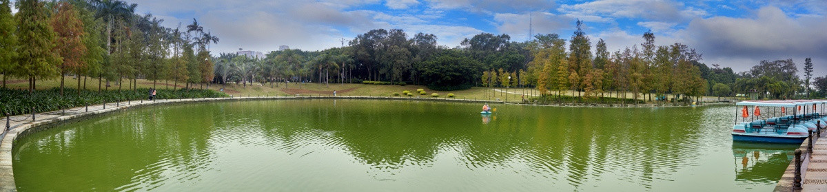 珠海海滨公园水池 池塘风景