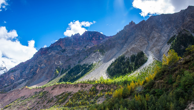 西藏林芝 安久拉山