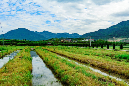 田垄