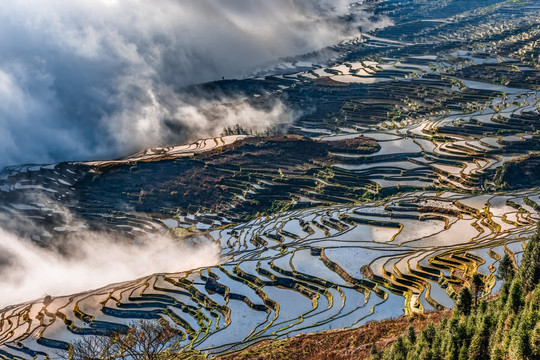 云南元阳坝达梯田