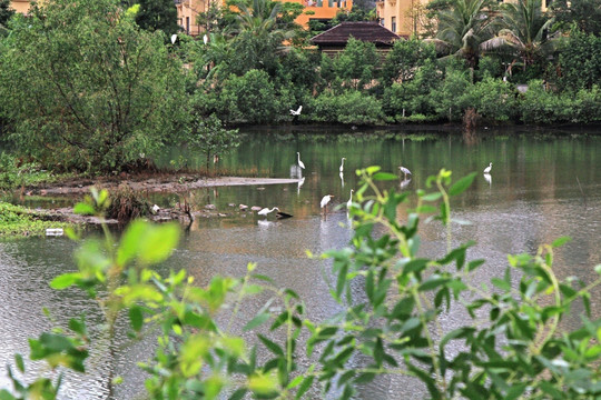 湖景别墅