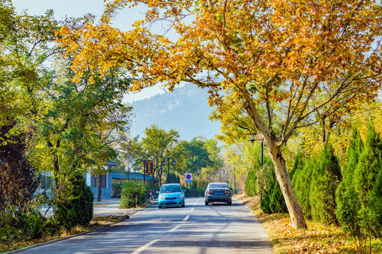 景区道路