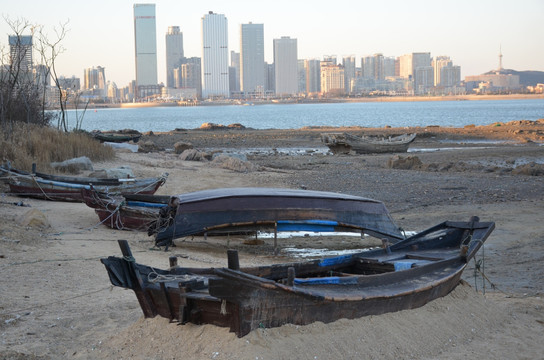 海滨湿地公园