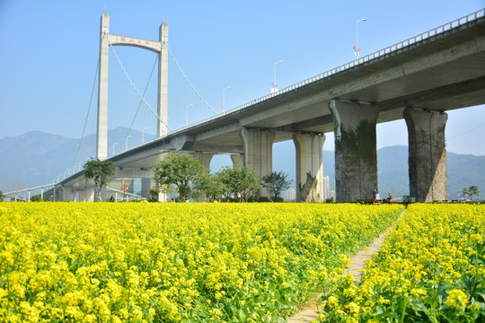 花海公园