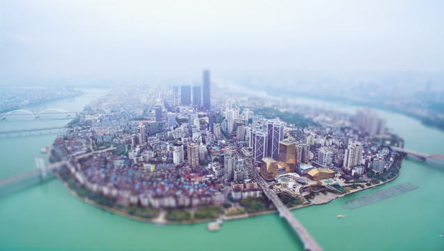 柳州风景 盆景柳州