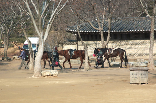 韩国民俗村拍古装戏 武将 战马