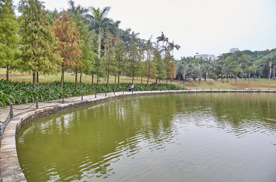 珠海海滨公园水池 池塘风景