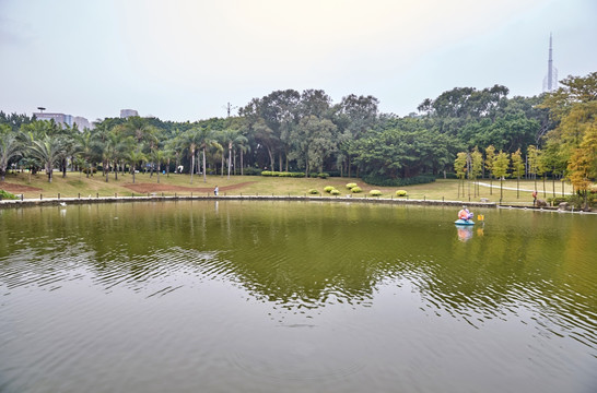 珠海海滨公园水池 池塘风景