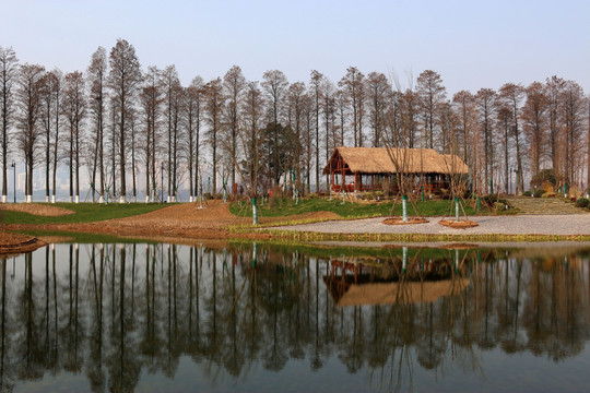 东湖绿道风景