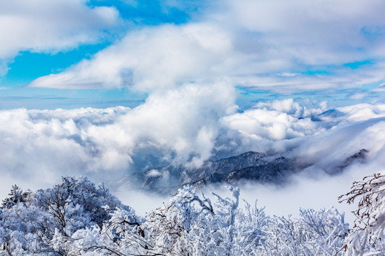 雪域君山