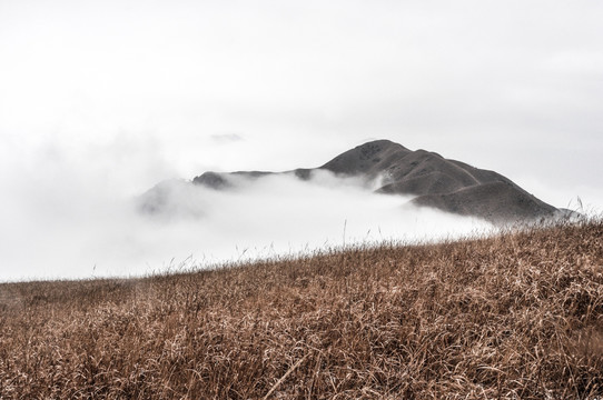 高山山体景观