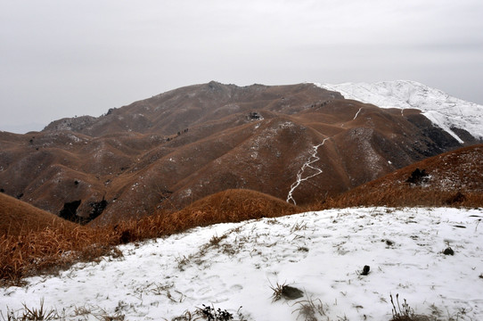 高山山脉