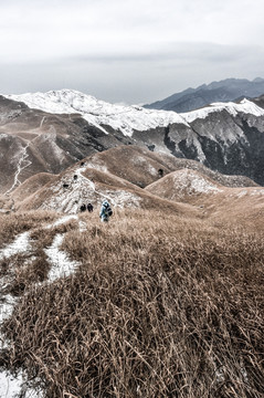 高山山脉景观