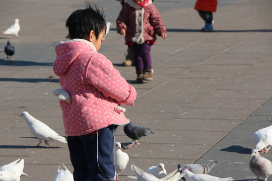 喂鸽子的小孩