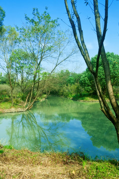 水塘风景