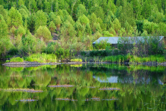 湿地湖泊