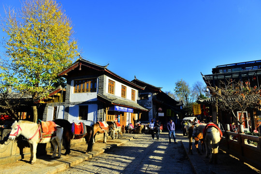 束河古镇 骑马